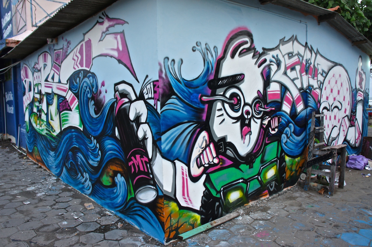 SONY DSC