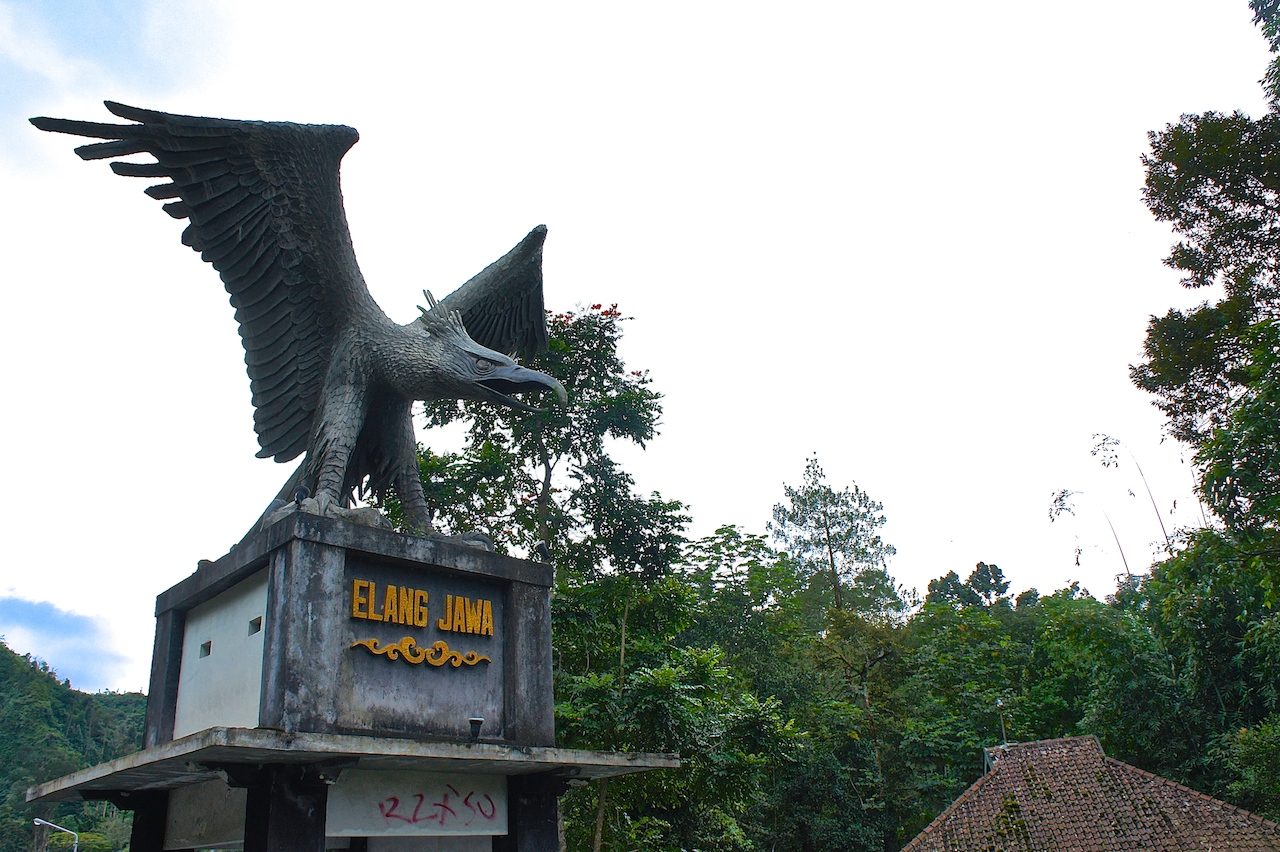 SONY DSC
