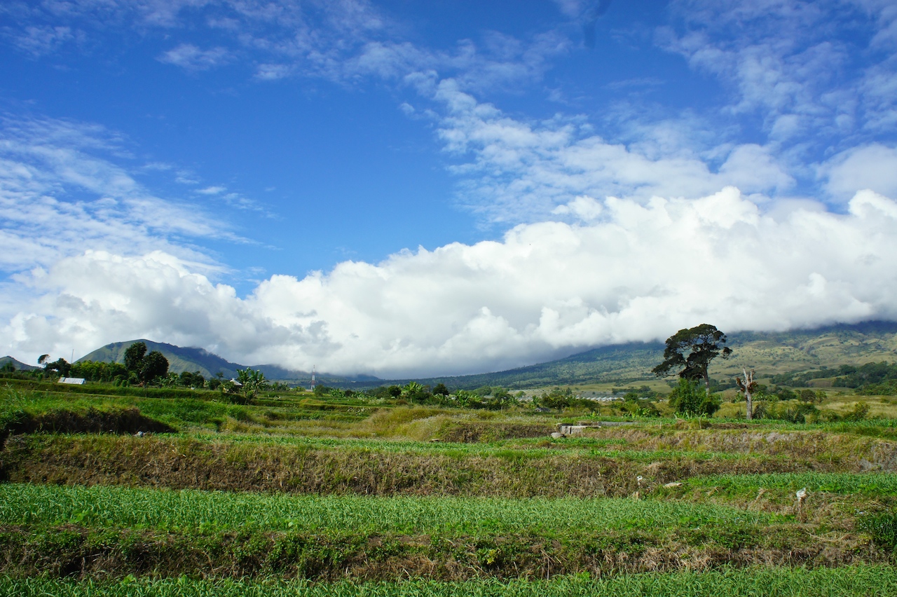 SONY DSC
