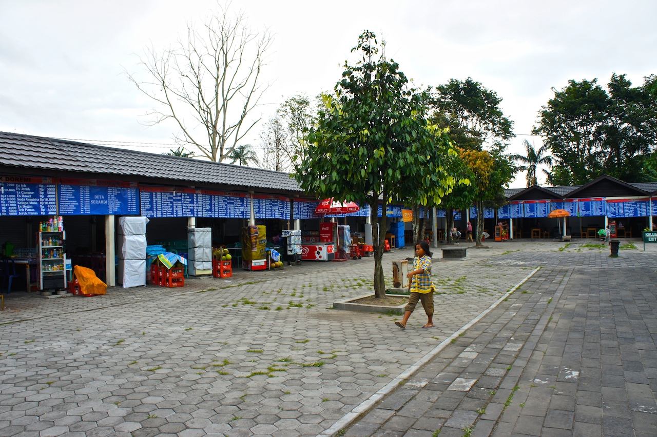 SONY DSC