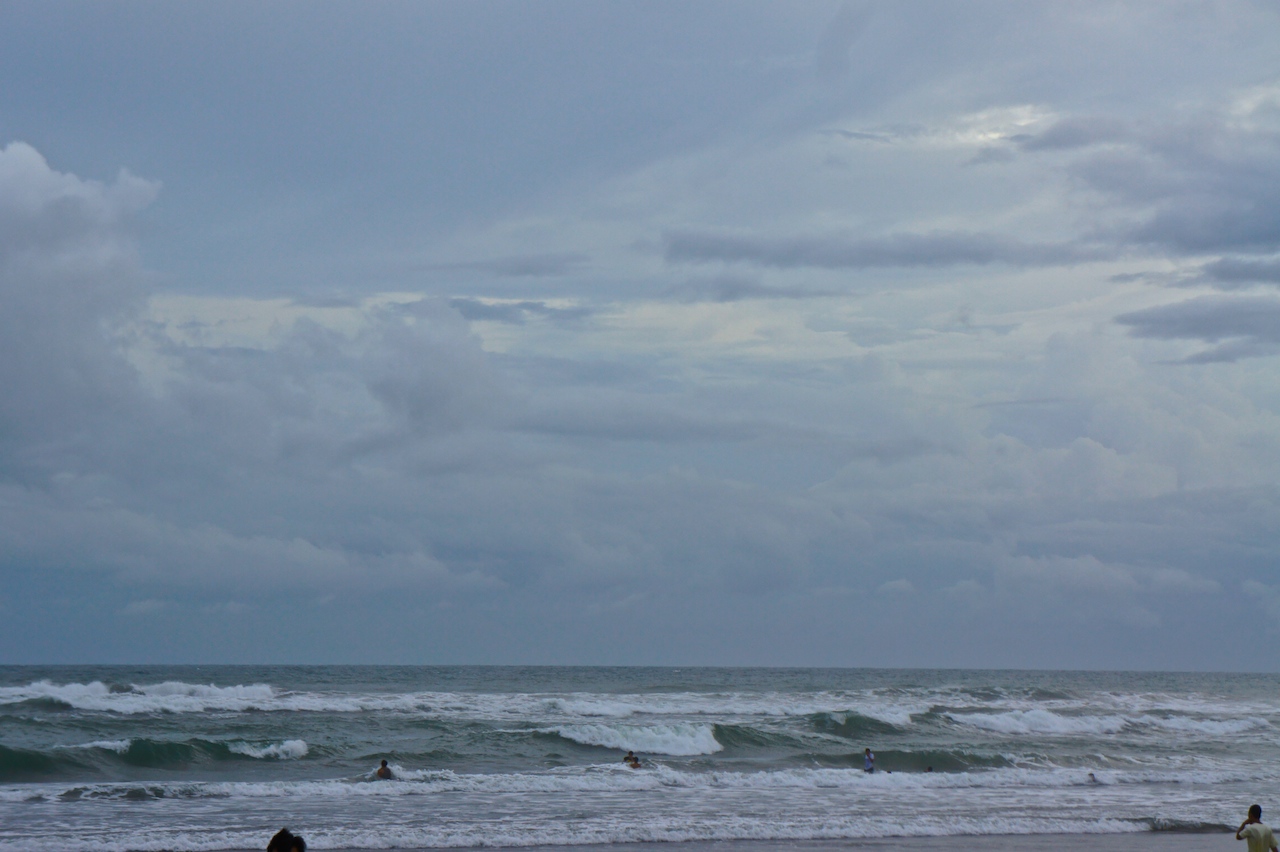 SONY DSC