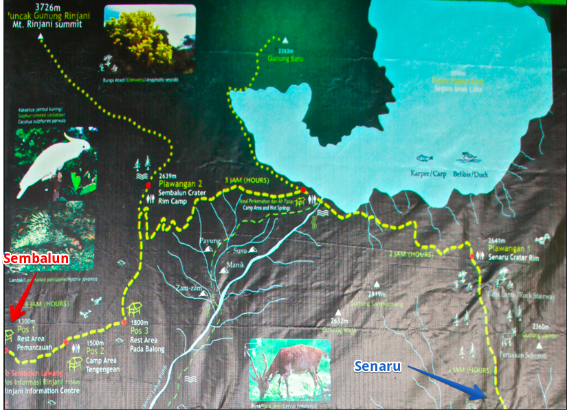 rinjani