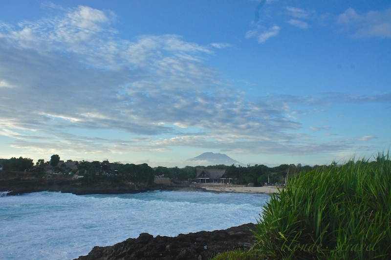 SONY DSC