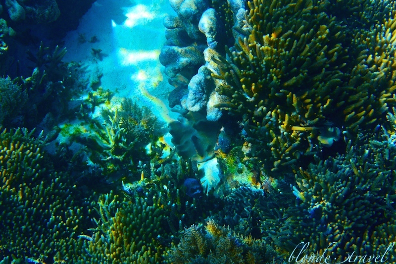 IMG_2446