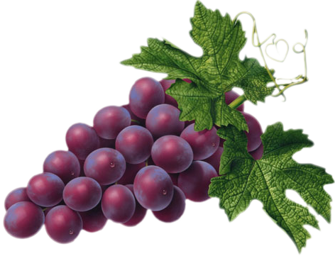 red_grape_png_picture