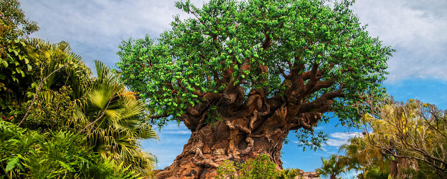 animal-kingdom-overview-02