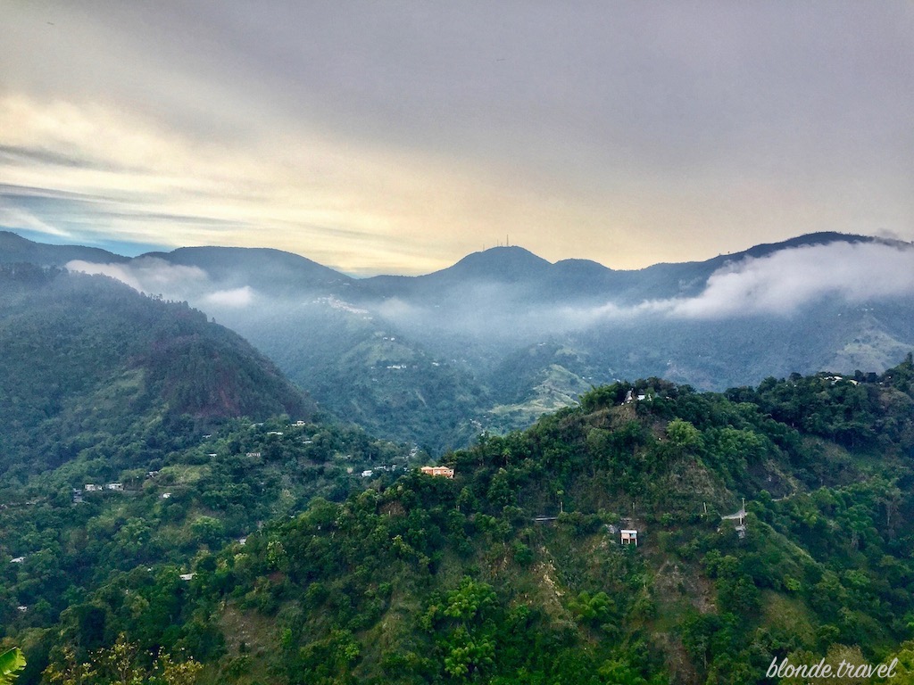 Coffee country in Jamaica’s Blue Mountains