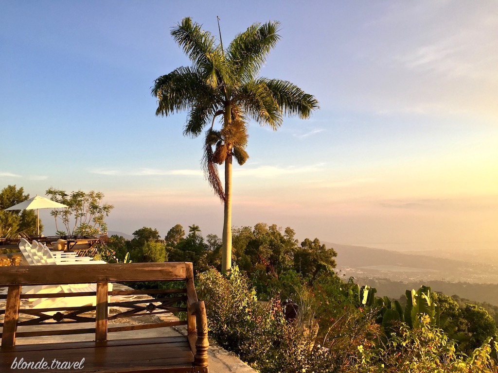 A palm tree and the view towards Kingston from Strawberry Hill