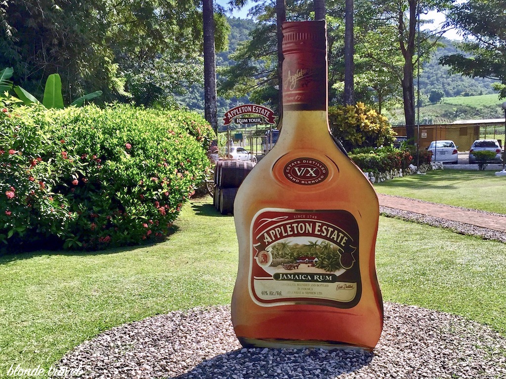 Appleton Estate rum in Jamaica