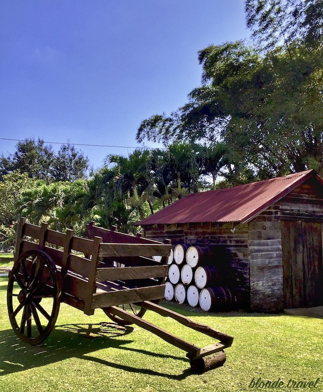Jamaican rum