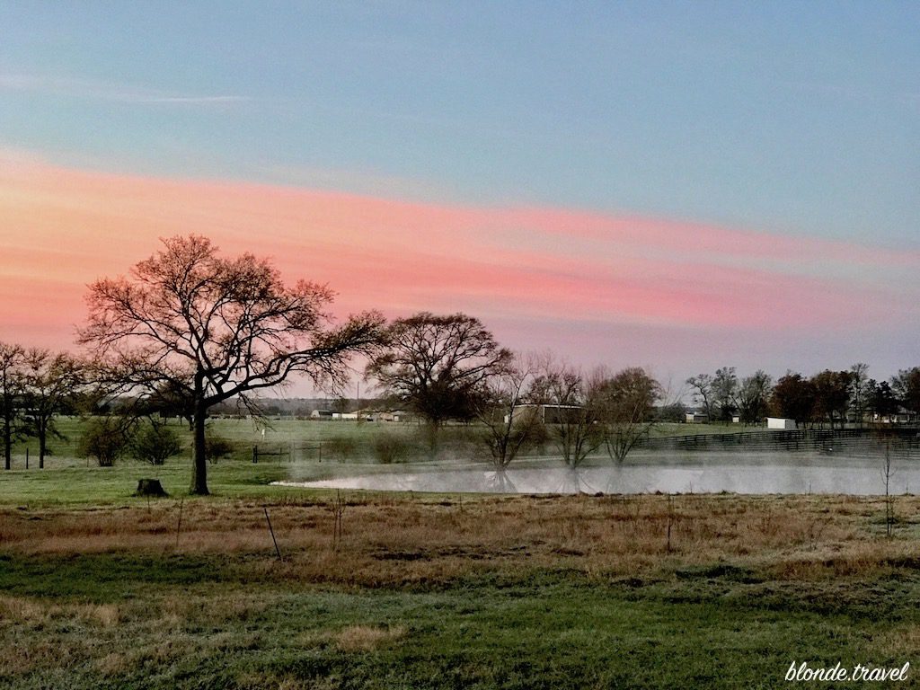 A pink band of dawn light above trees and mist drifting across a pond.