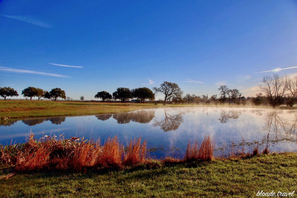 Mist rising from a pond bordered by winter grasses and trees.