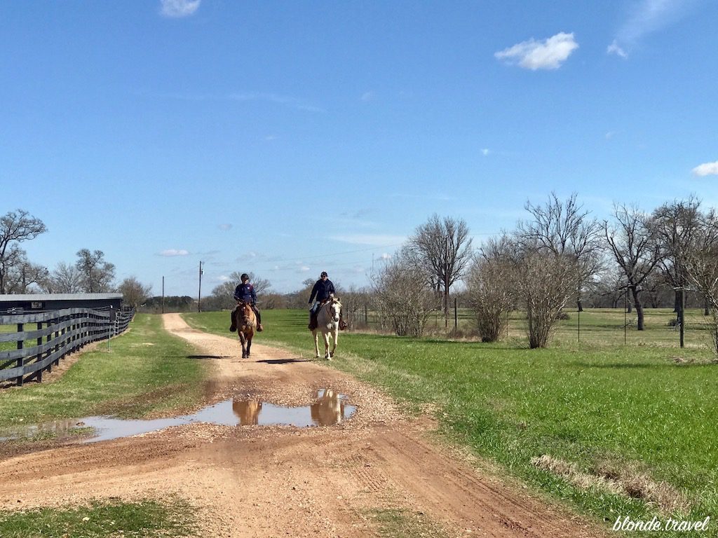 Two riders approaching along a sandy ranch track between fenced pastures.