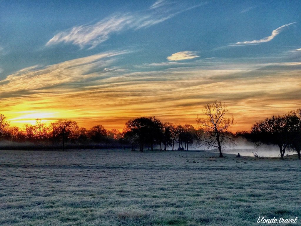 A gold and blue dawn sky above frosted grass, trees and low mist.