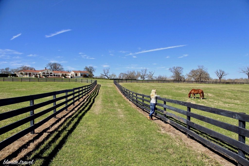 Olga leaning on a pasture fence watching a grazing horse, with the restaurant in the distance.