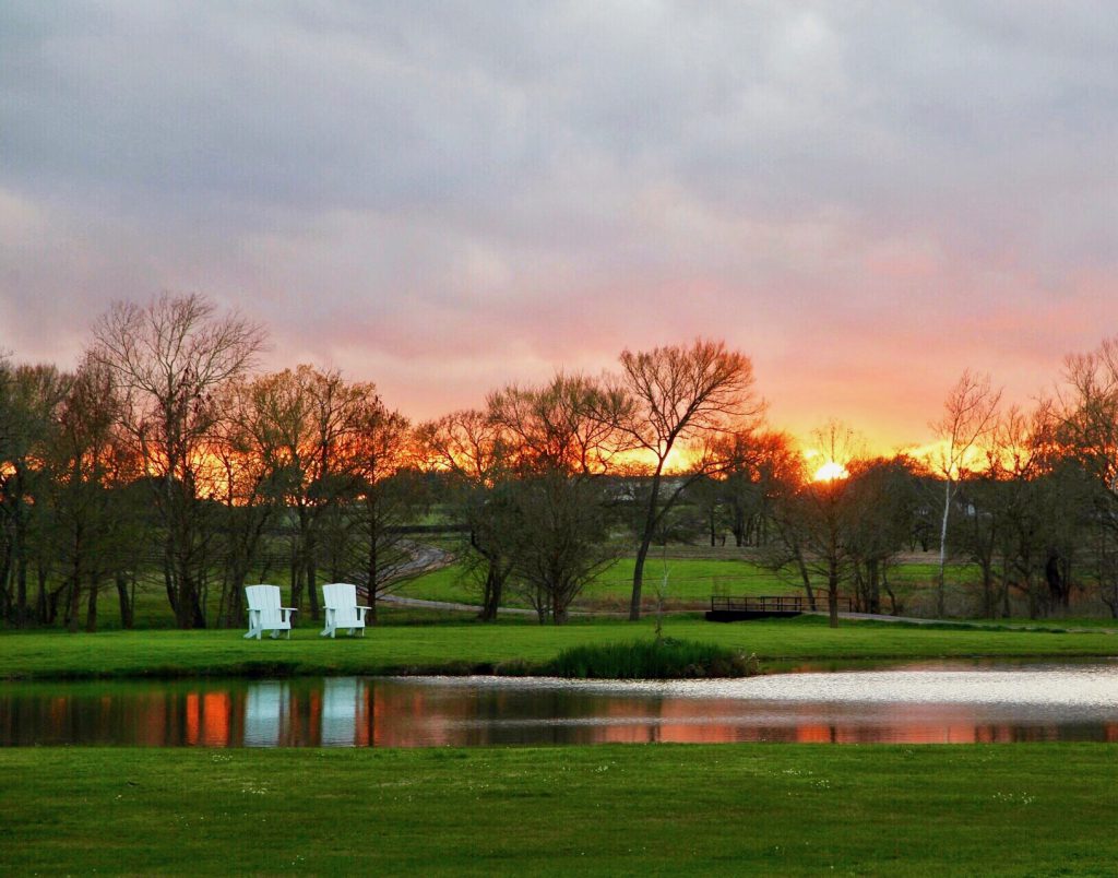 An orange sunset behind leafless trees and two white chairs beside a pond.