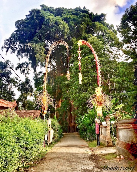 A decorated penjor in Bali during Galungan and Kuningan
