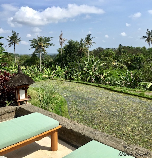 The green Ayung Valley at Amandari