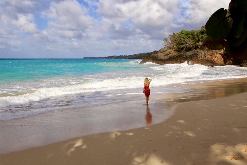The turquoise shoreline and palms of Playa Rincón