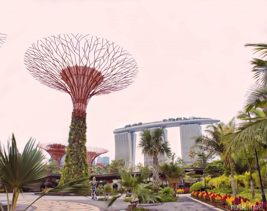 Supertree Grove and Marina Bay Sands in Singapore