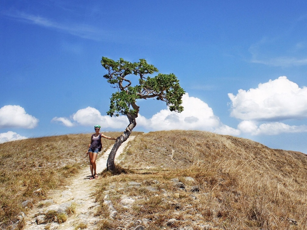 Me, spectacular landscape and lonely tree on the Rinca island