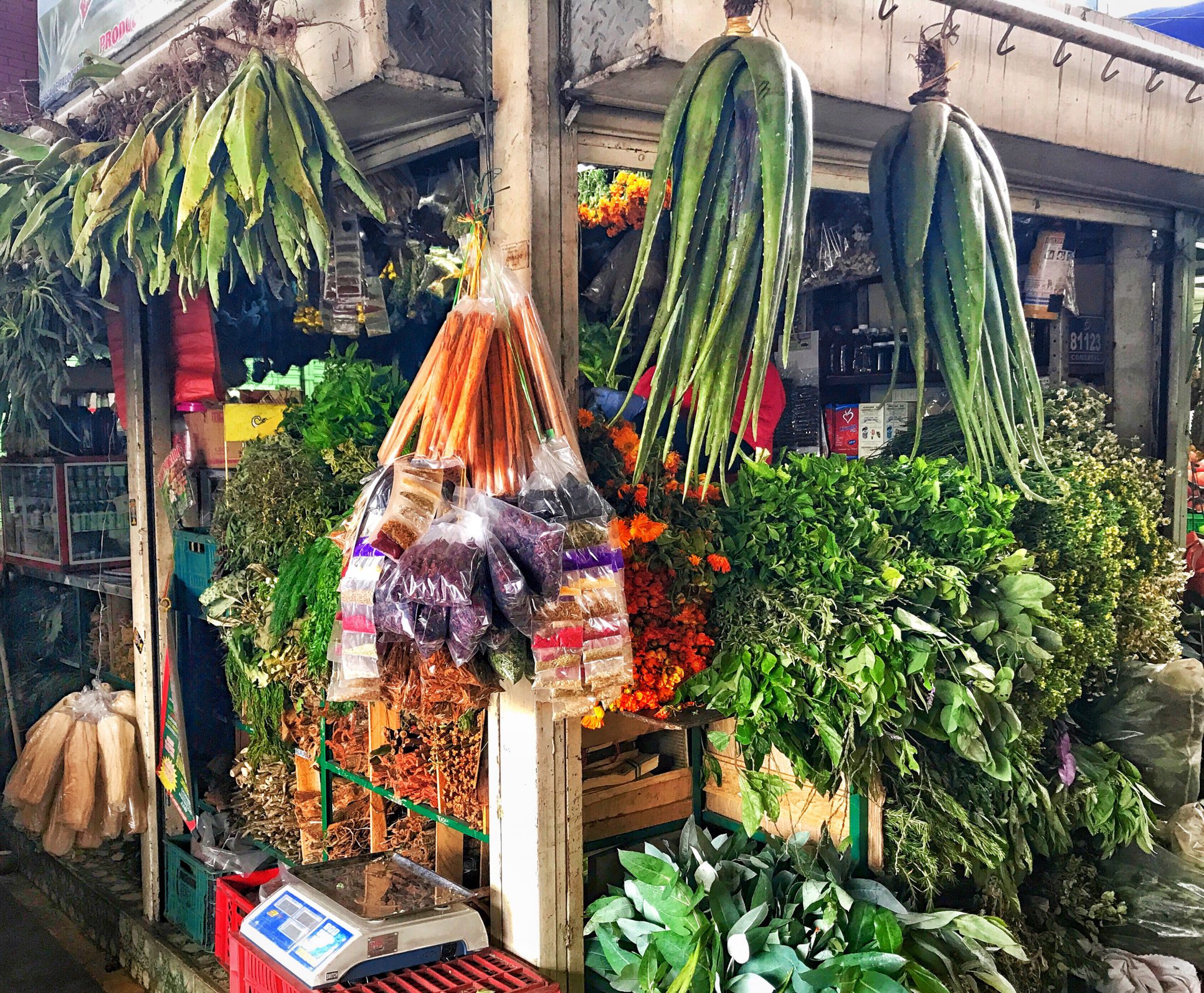 An herb stall at Paloquemao market in Bogotá, with aloe leaves hanging above bunches of fresh herbs, marigolds and bags of dried herbs.