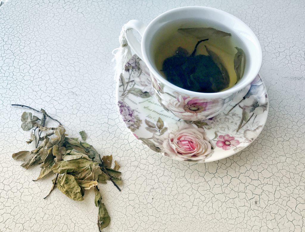 A floral porcelain cup of pale coca tea with a leaf in it, beside a sprig of dried coca leaves.