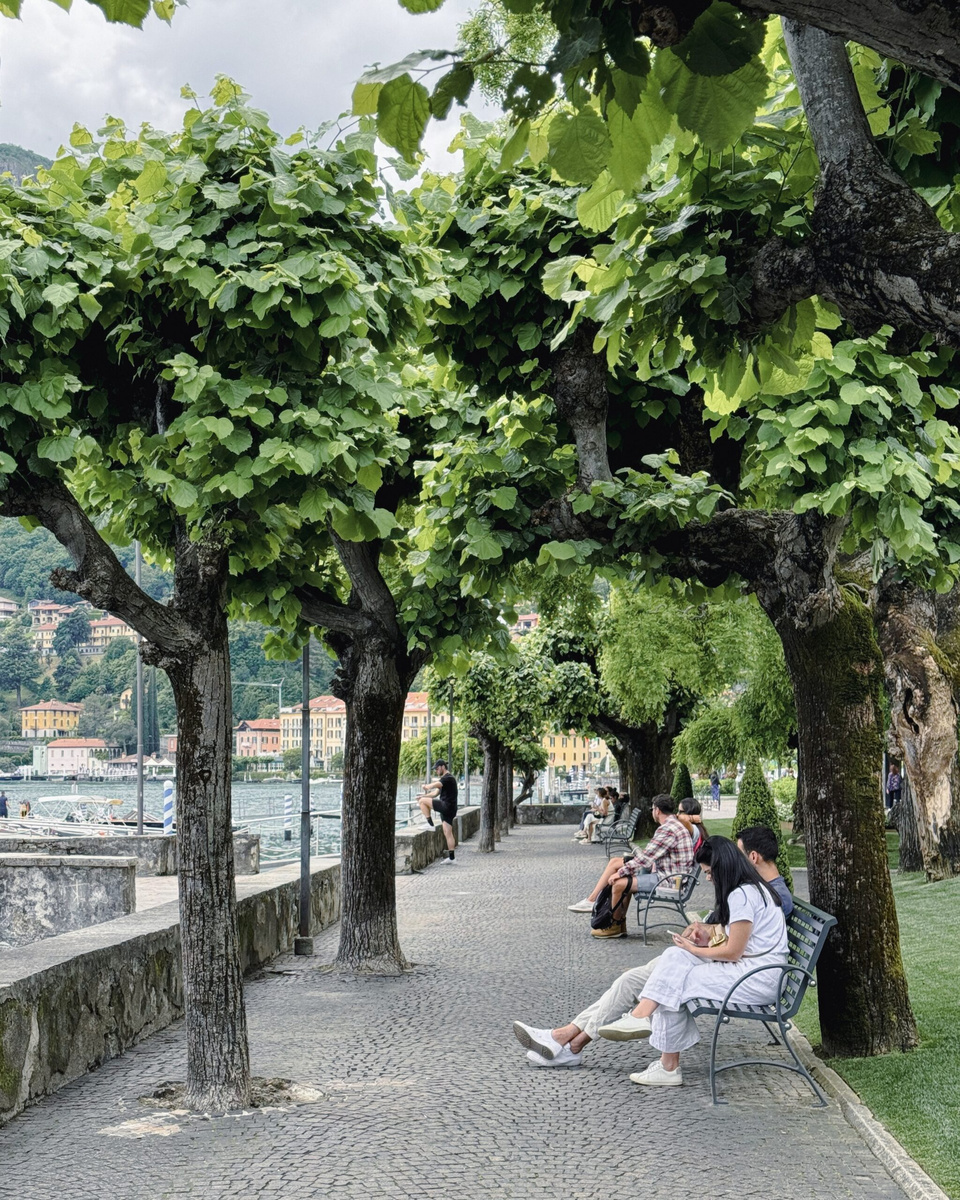 A tree-lined lakeside promenade with benches and mountain views in Menaggio.