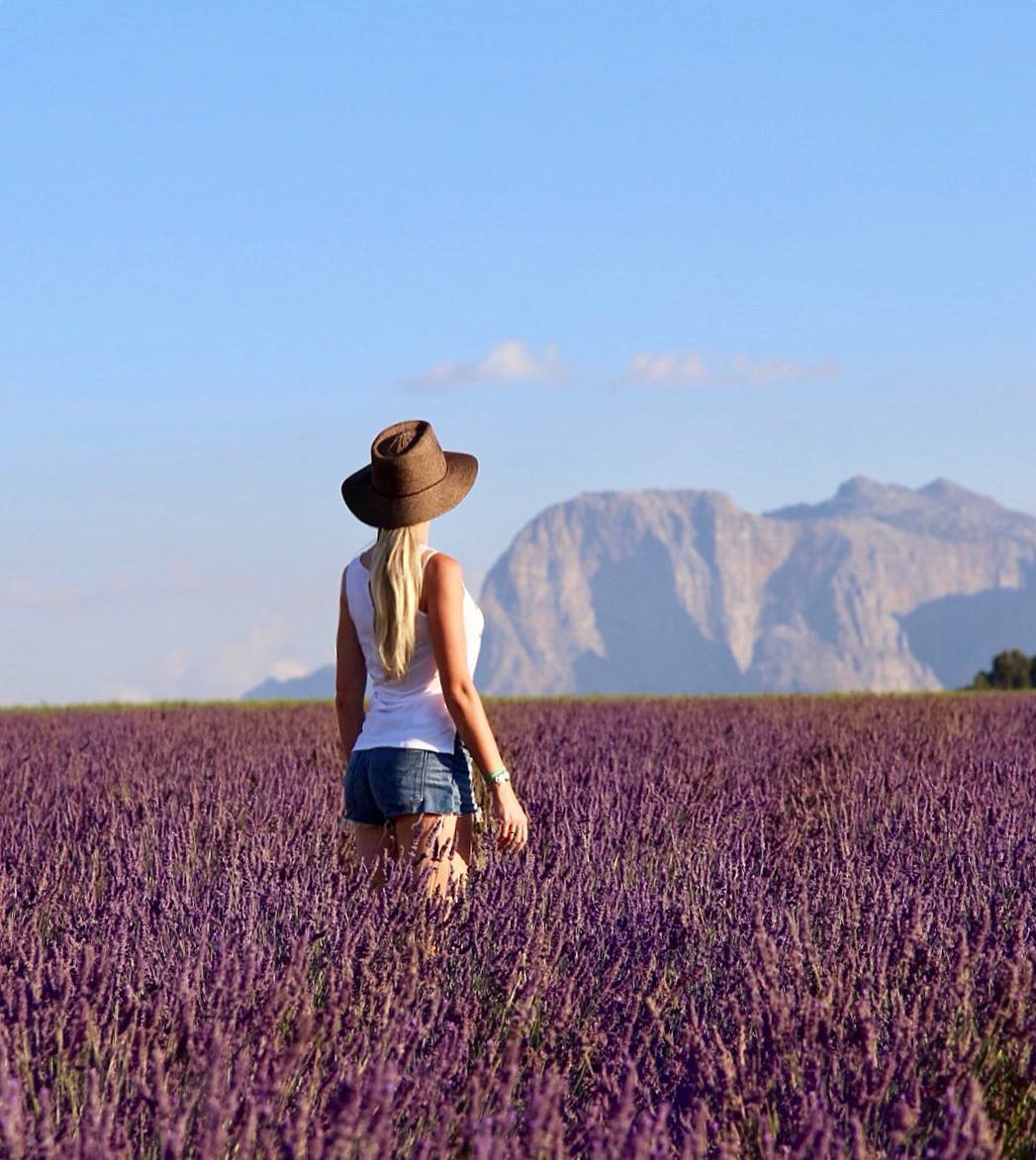 Olga standing at the edge of a purple lavender field beneath Cape mountains.