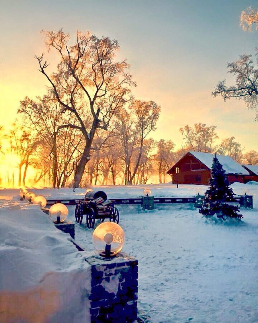 A snowy Kamchatka lodge and birch trees glowing in low winter sunlight.