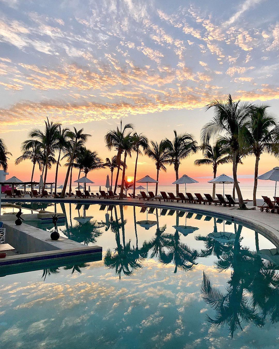 A palm-lined hotel pool reflecting a pastel sunrise in Los Cabos.
