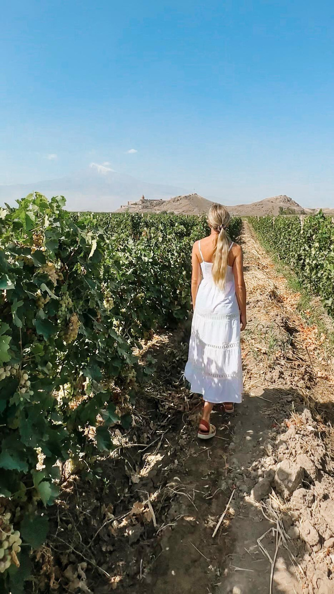 Olga among vineyard rows with Armenia’s mountains beyond.