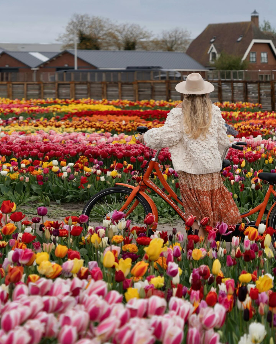 Olga beside a bicycle among rows of colourful Dutch tulips.