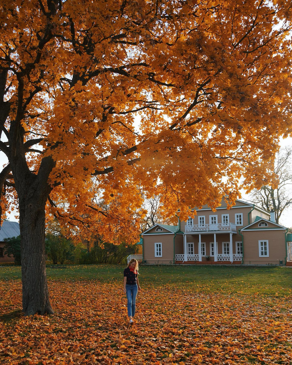 Olga walking beneath a great orange-leaved oak beside the Tarkhany estate house in Russia.