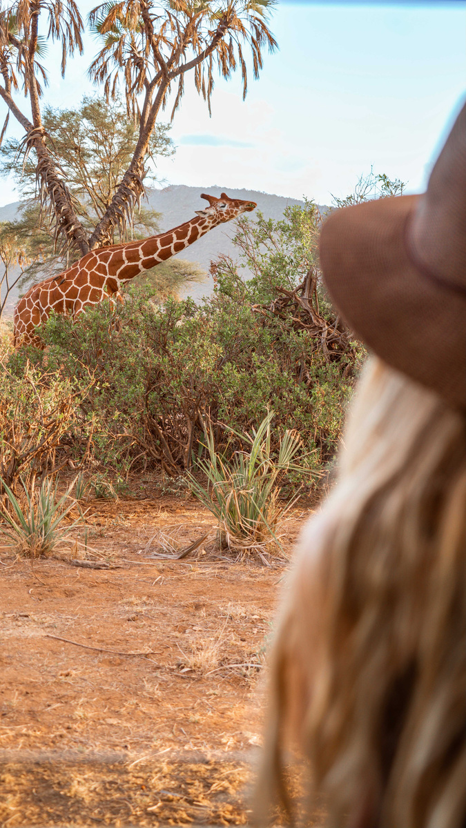 Olga watching a giraffe reach into thorny scrub in Kenya.
