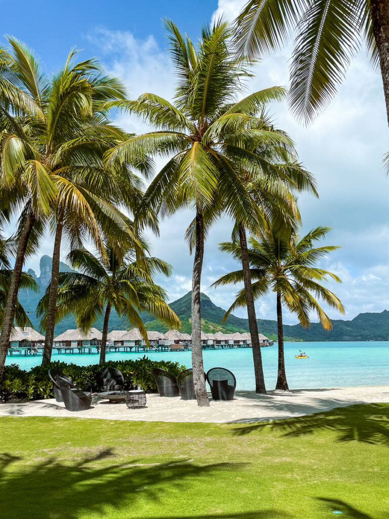 Palm trees beside the white-sand beach and turquoise lagoon at Four Seasons Bora Bora