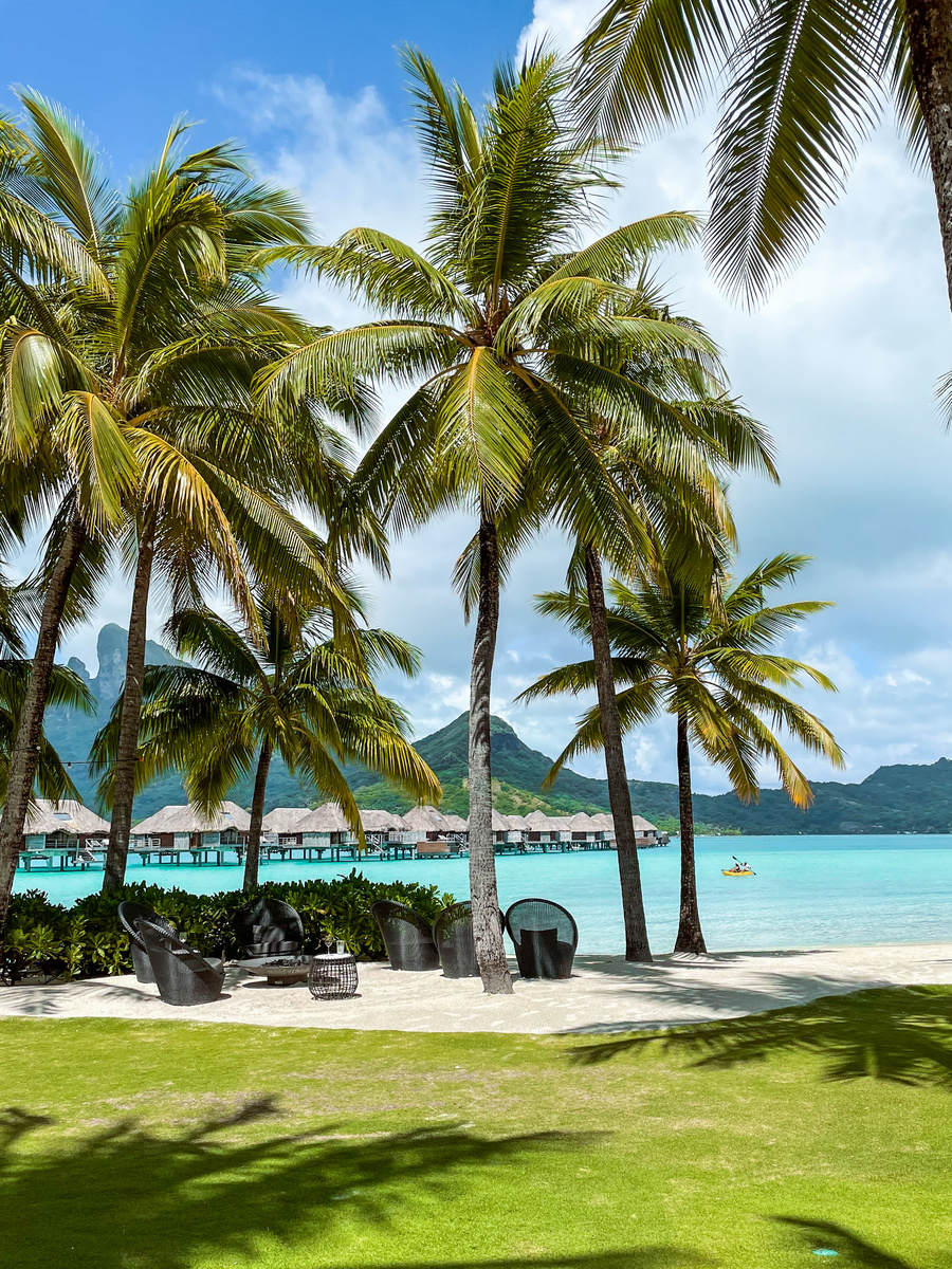 Palm trees beside the white-sand beach and turquoise lagoon at Four Seasons Bora Bora