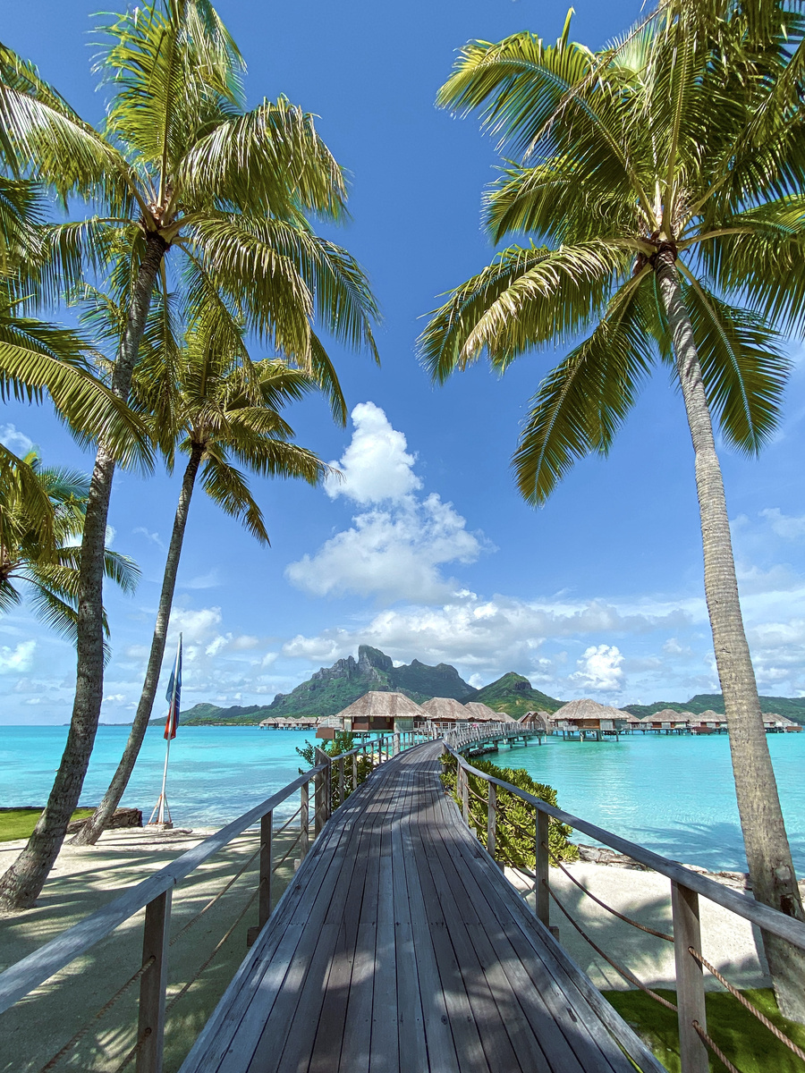 Boardwalk beneath leaning palm trees beside the lagoon at Four Seasons Bora Bora