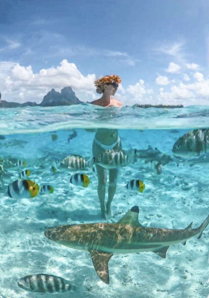 Split-level view of Olga at the surface while a blacktip reef shark and tropical fish swim below in Bora Bora