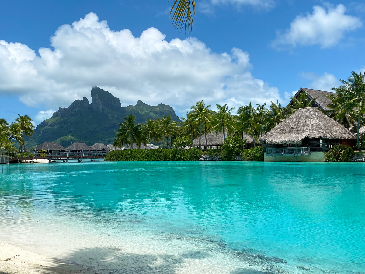 Palm trees leaning over a quiet stretch of turquoise water at Four Seasons Bora Bora