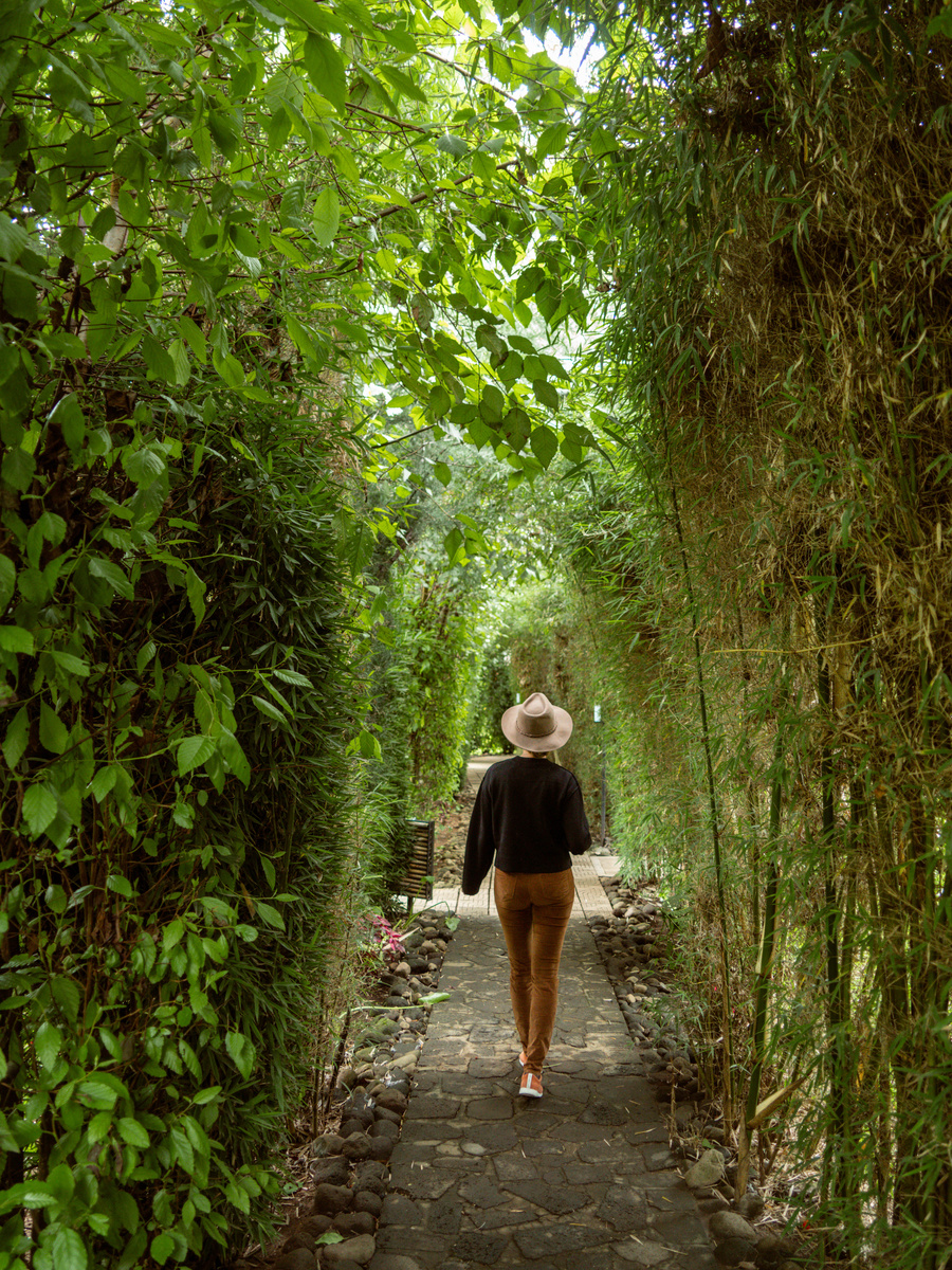 Olga walks away along a narrow stone path enclosed by tall green bamboo at Amarembo.