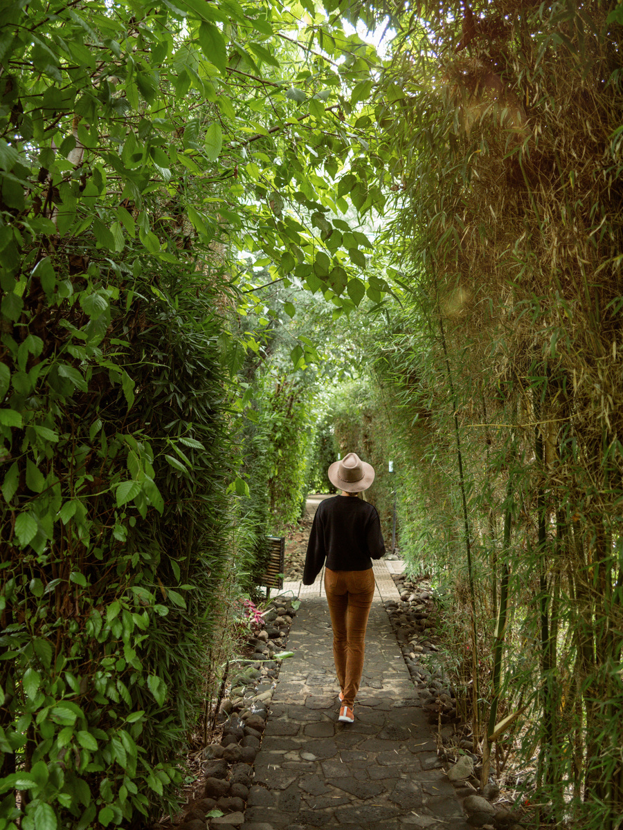 Olga walks beneath a dense arch of bamboo on a narrow path through Amarembo.