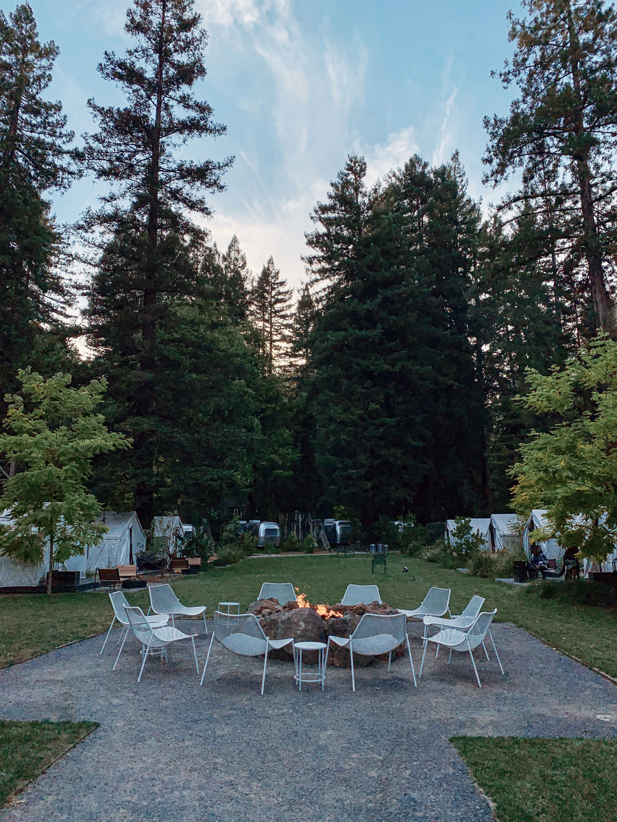 Circular communal firepit surrounded by white chairs beneath tall redwoods at AutoCamp Russian River