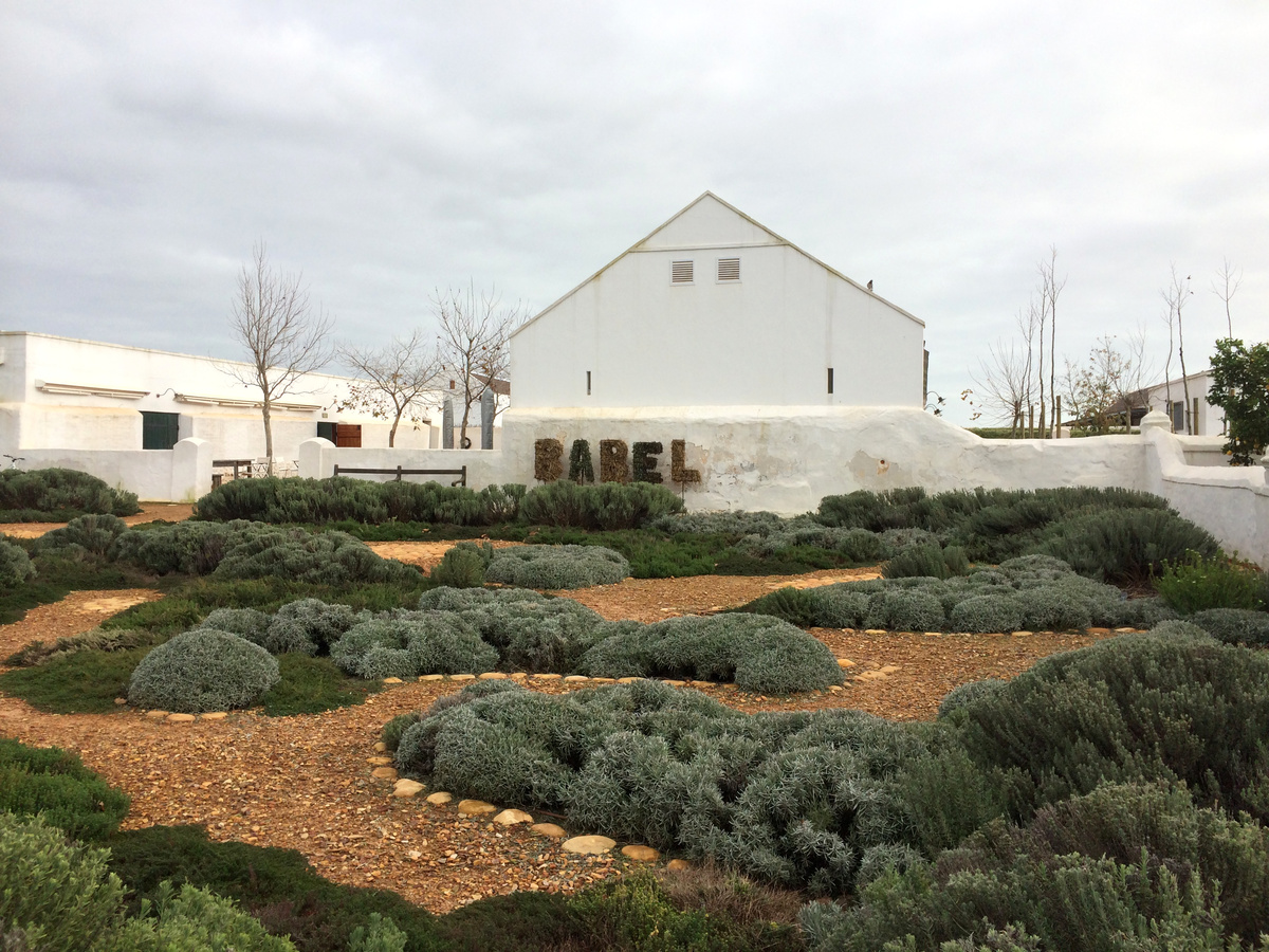 The white gabled Babel building behind low grey-green garden planting at Babylonstoren.