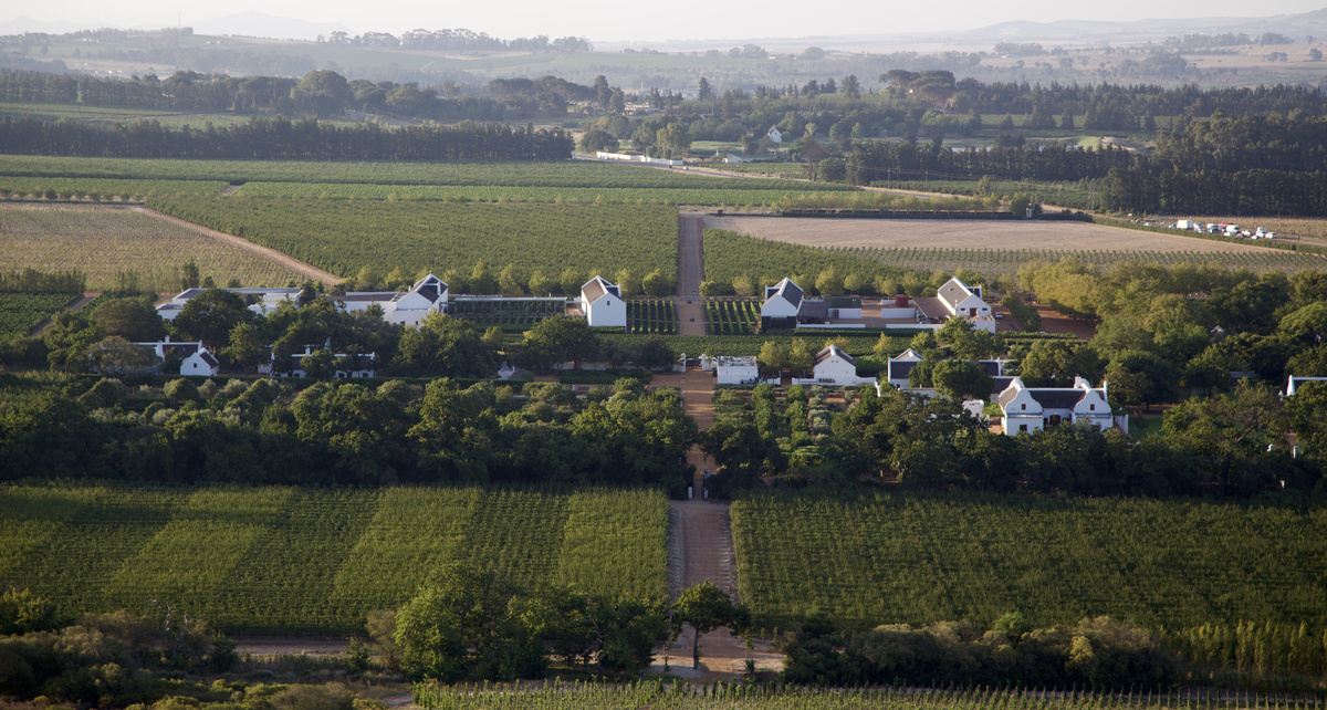 Wide aerial view of Babylonstoren farm buildings and gardens surrounded by vineyards in the Cape Winelands.