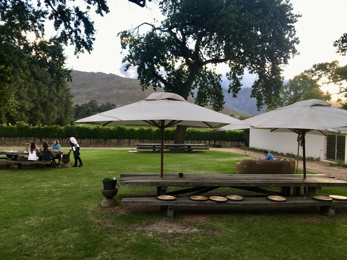 Picnic tables and white umbrellas are set on the Babylonstoren hotel lawn beneath mature trees.