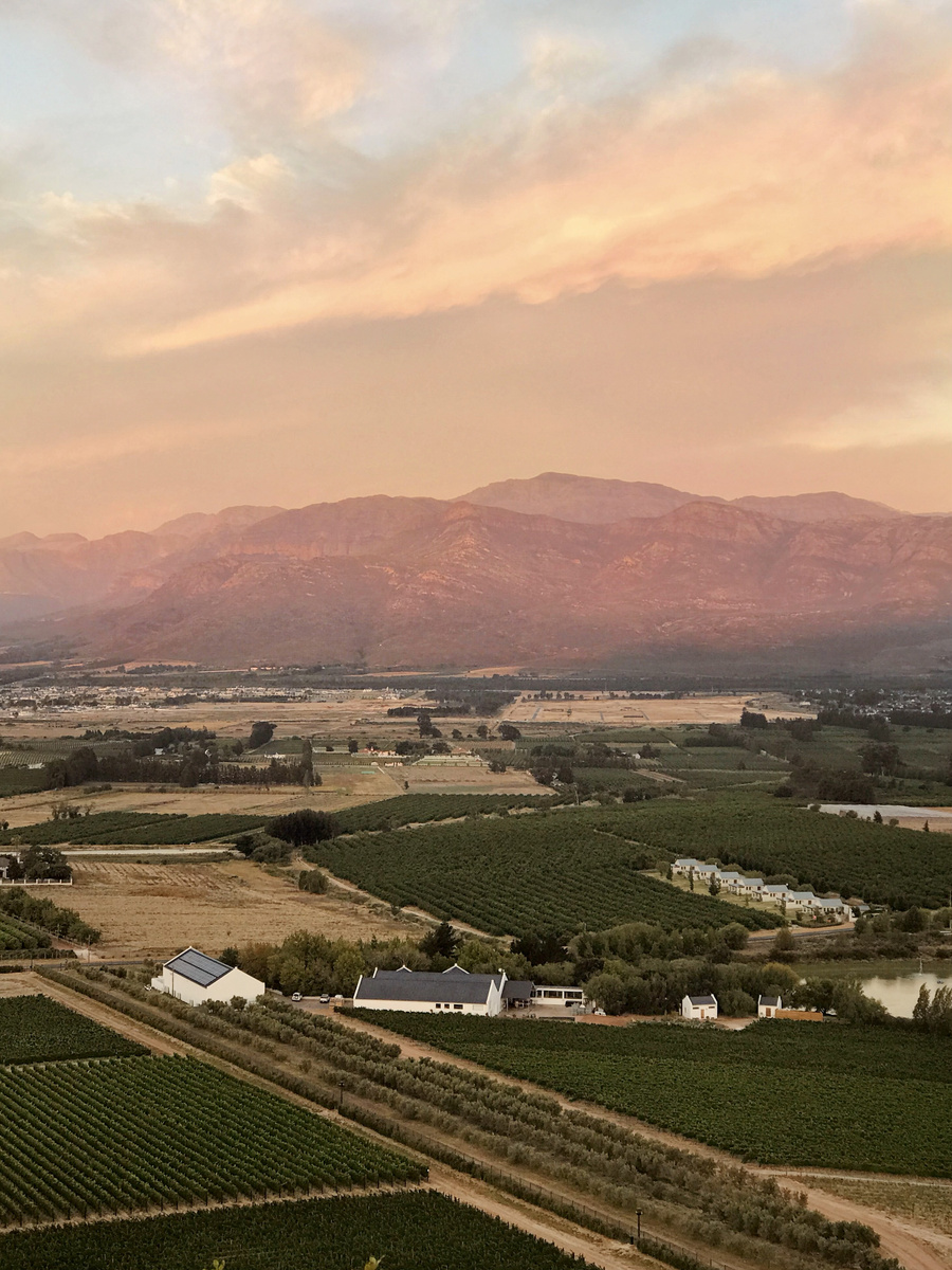 A high view across vineyards and farm buildings toward mountains under a pink sunset sky.