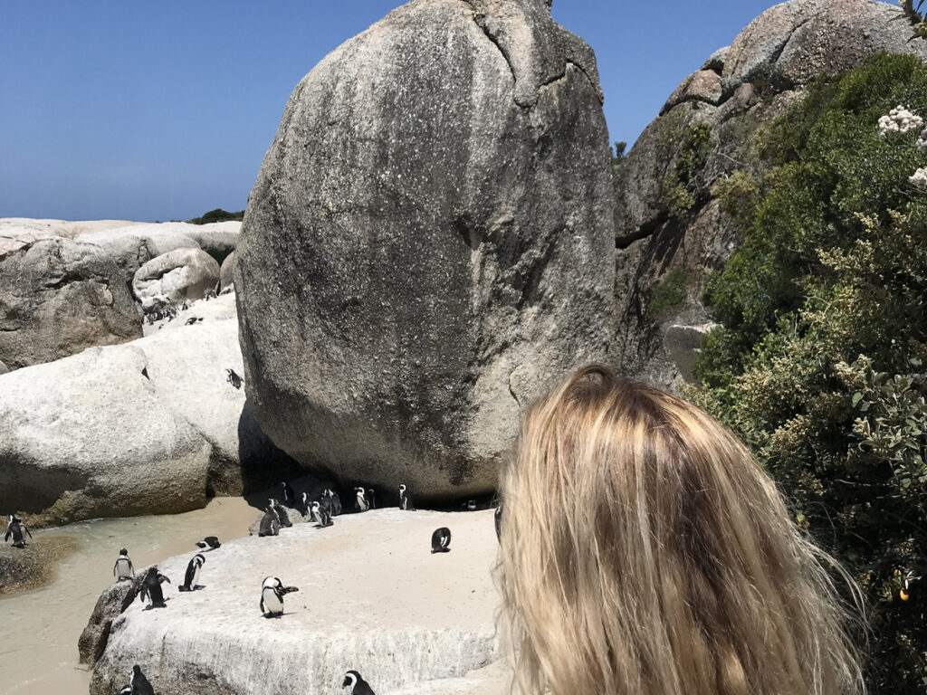 Olga looking toward African penguins gathered beneath a massive granite boulder at Boulders Beach.