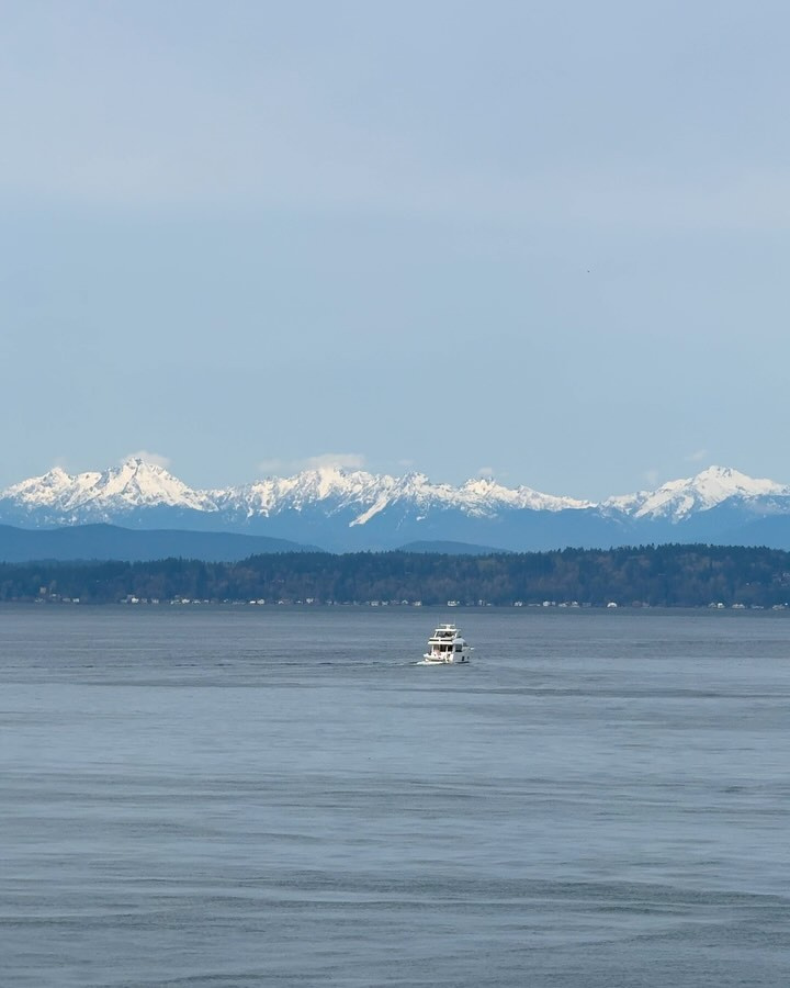 A white boat crosses Elliott Bay beneath the snow-covered Olympic Mountains, seen from The Edgewater Hotel.