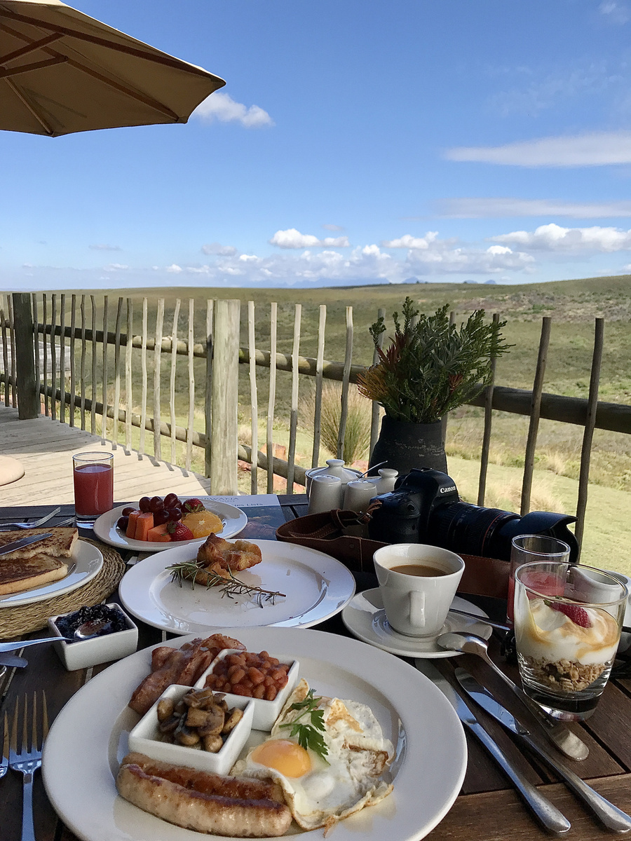 Breakfast plates, fruit, coffee and a camera on a veranda at Gondwana Game Reserve